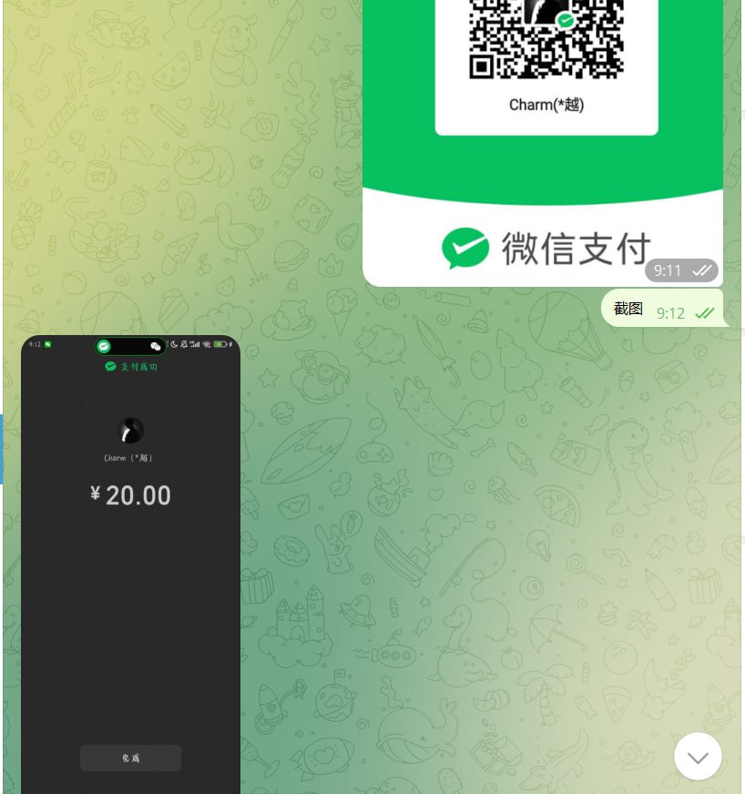 聊天记录13